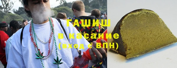 хмурый Бородино