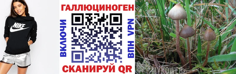 Галлюциногенные грибы Magic Shrooms  Полтавская 